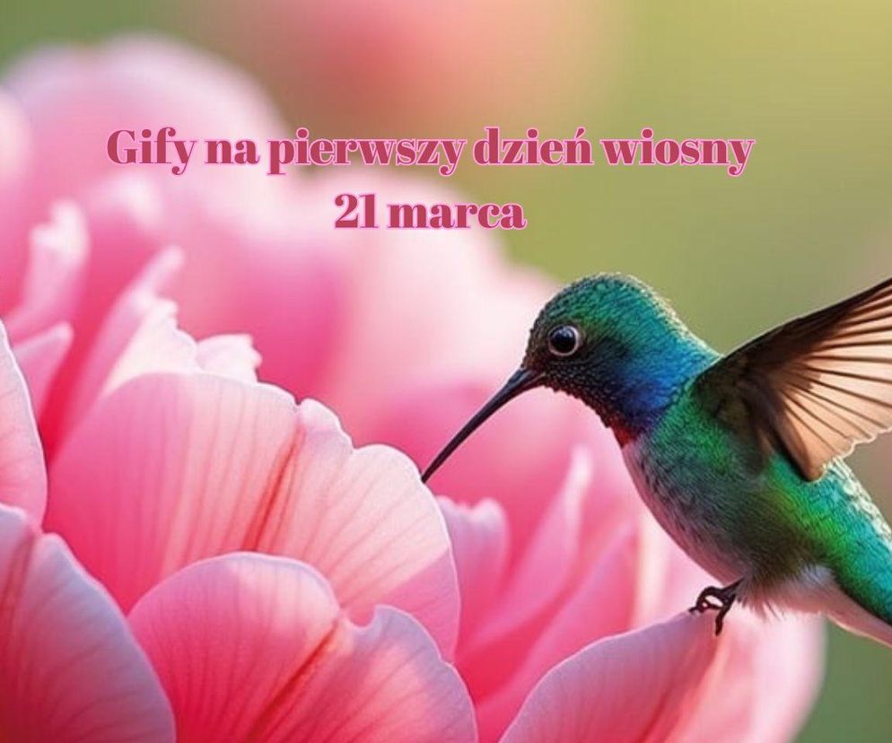 Gify na pierwszy dzień wiosny