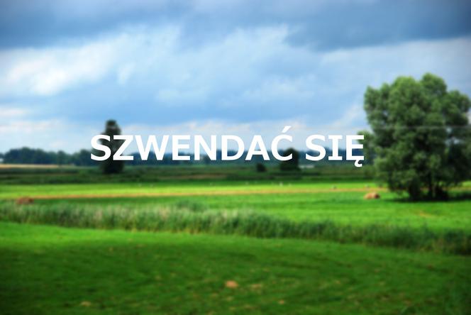 Szwendać się