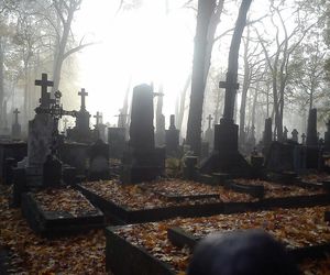 Dziś 1 listopada - uroczystość Wszystkich Świętych