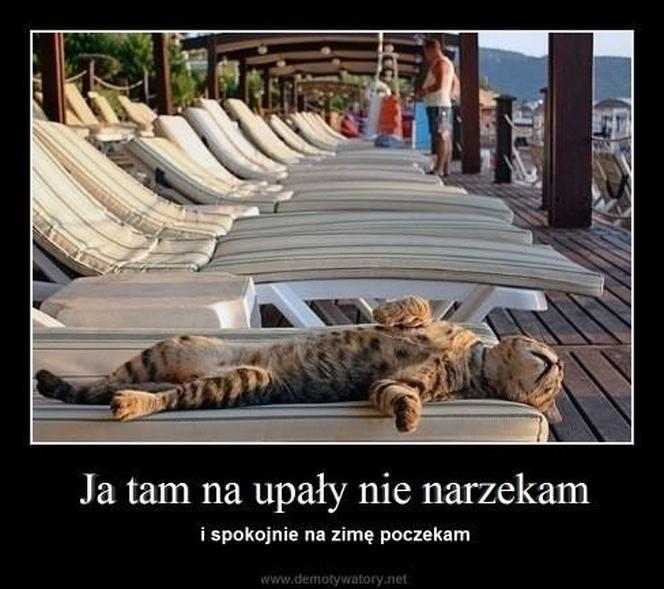 Do Polski dotarła fala gorąca. Te memy na temat upalnych dni rozbawią wszystkich do łez!