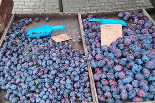 Tańsza alternatywa dla marketów? Sprawdź, ile kosztują produkty na łódzkich rynkach