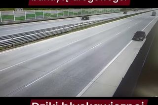 Wiceminister infrastruktury o szokującym zdarzeniu na A1 pod Piotrkowem Tryb. Kierowca BMW jechał pod prąd prosto na niego [ZDJĘCIA].