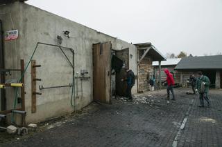 Jeden koń nie przeżył pożaru