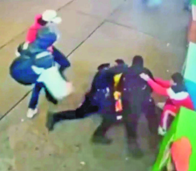 Chaos i krew pod schroniskiem