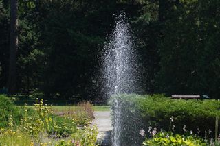 Ogród Botaniczny w Poznaniu 