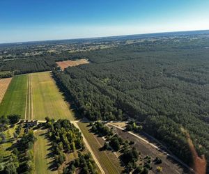 Pani Marianna dwa dni temu zniknęła z domu. Szuka jej zrozpaczona rodzina i policja