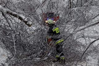 Ponad 300 interwencji strażaków w Tarnowie i regionie