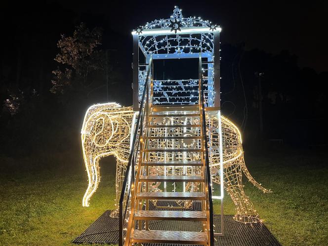 Lumina Park w Poznaniu. Multimedialny spacer w milionie świateł powraca w nowej odsłonie