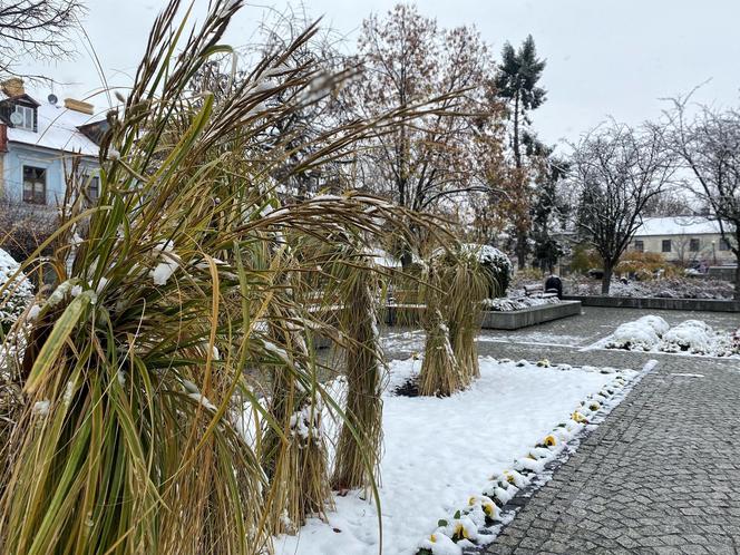 Szykujcie się na intensywne opady śniegu! W części woj. lubelskiego jest już biało! 