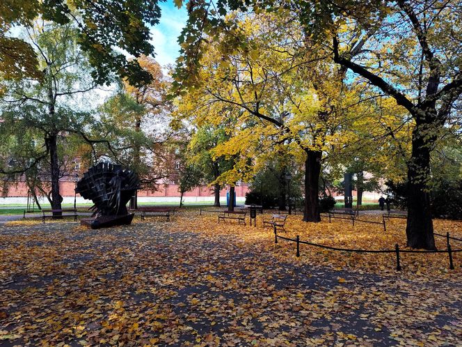 Policja namierzyła sprawców rozboju w Parku Jalu Kurka