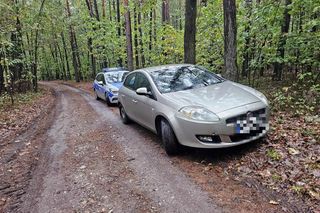 kto odpowiada za śmieci w lesi