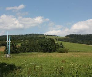 Ta wieś na Podkarpaciu jest znana w całej Polsce. Wszystko z jednego powodu