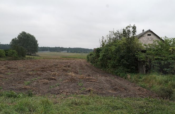 Ćwiczenia Zapad 25 tuż za granicą