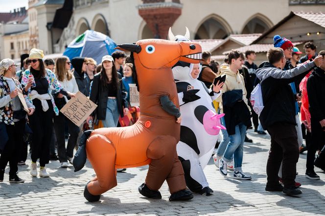 Korowód studentów podczas juwenaliów 2025 w Krakowie