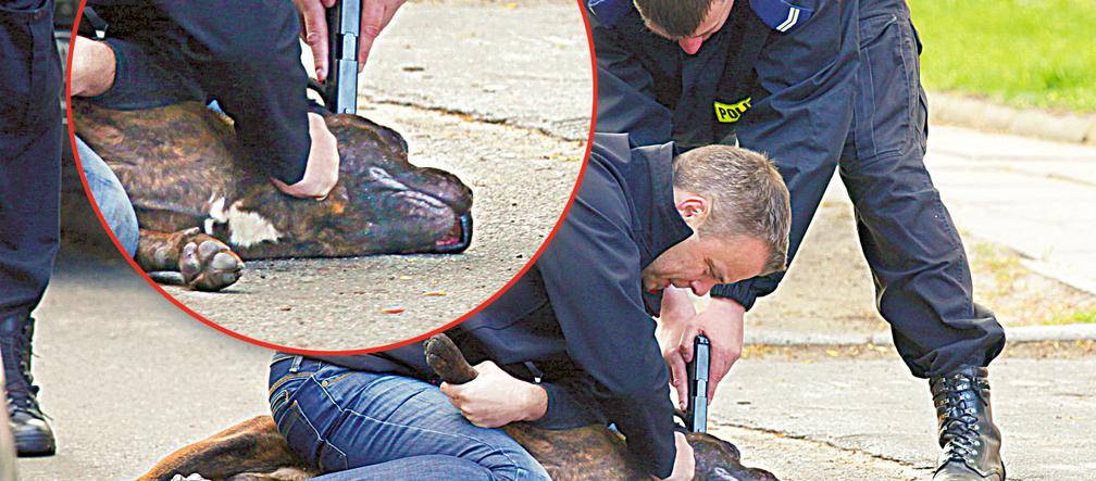 Pokonał bestię gołymi rękami