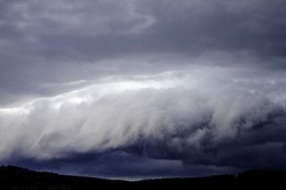 Sporo zniszczeń po burzy w kujawsko-pomorskim. Służby interweniowały ponad 400 razy!