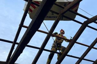 Trąba powietrzna zerwała dachy i połamała drzewa w Lasowicach Wielkich