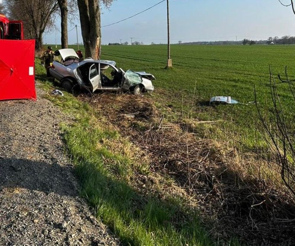 Tragiczny wypadek na trasie Korfantów-Puszyna. 9-latka i jej mama nie żyją