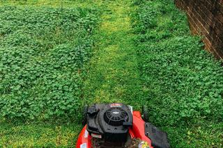 Kosiarki spalinowe, elektryczne i akumulatorowe