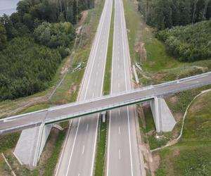 S16 Borki Wielkie Mrągowo jest przedłużeniem dwujezdniowej trasy pomiędzy Biskupcem a Borkami