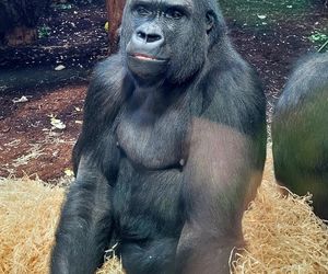 Nowe mieszkanki w ZOO Warszawa