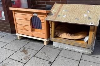 Kot Gacek i jego nowy domek