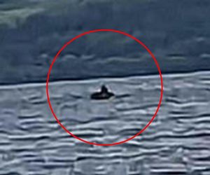 Strzyga, Nessie i Czupakabra. To najstraszniejsze legendy o potworach z całego świata