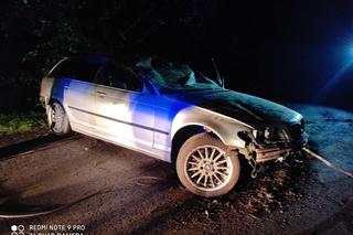 Podkarpackie. BMW wypadło z drogi [ZDJĘCIA]