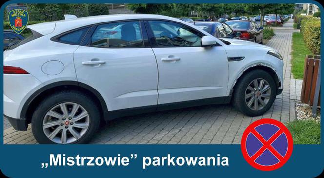 Warszawscy "mistrzowie parkowania"