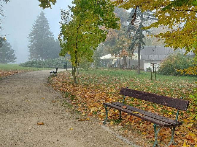 Zamojski Park jesienią