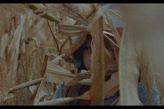 Głośny dokument Lidii Dudy „Las”, nominowany był do tegorocznych Polskich Nagród Filmowych „Orły”