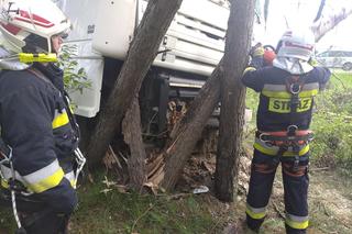 Wypadek na DK 10 w Solcu Kujawskim! Ciężarówka wypadła z drogi i uderzyła w drzewa [ZDJĘCIA]