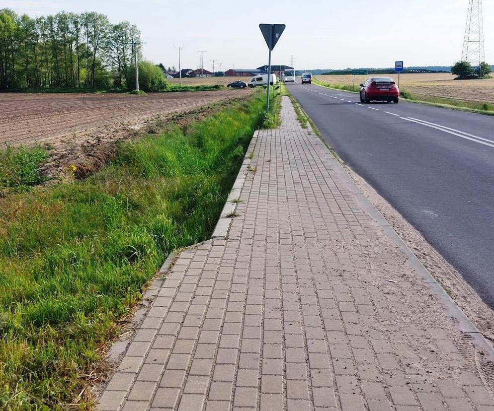 Cztery oferty na chodnik dla pieszych i rowerzystów z Gołanic do Krzycka