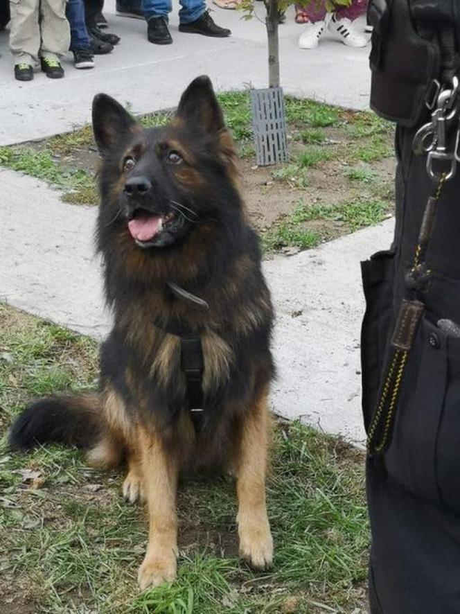 Policjanci pożegnali kolegę z pracy. Ulubieniec dzieci przeszedł na emeryturę