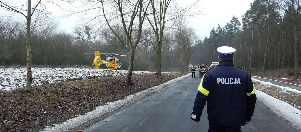 Wypadek przy wycince drzew - mężczyzna miał 0,9 promila