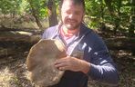 Gigantyczne grzyby w kujawsko-pomorskich lasach