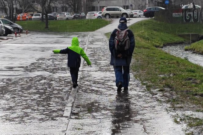 Ulewne deszcze atakują przed weekendem. IMGW o 45 mm i burzach