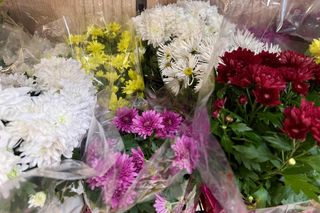 Chryzantemy na Wszystkich Świętych z ukrytym znaczeniem. Ten kolor jest najmniej popularny, a mówi najwięcej