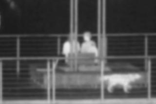 Sosnowiec. Wyrzucili psa do stawu z pomostu