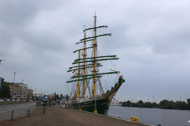 Alexander von Humboldt II