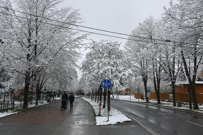 Śnieg w Zakopanem