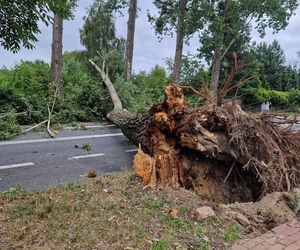 Strażacy mają ręce pełne pracy. To nie koniec. IMGW ostrzega