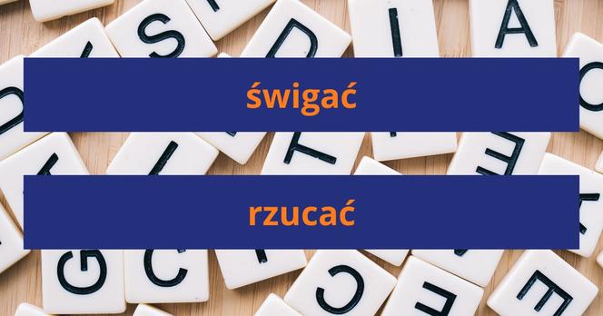 Słownik gwary poznańskiej - znasz najważniejsze słowa?