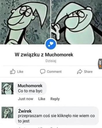 Przepraszam coś mi się kliknęło. Ten mem zdobywa wielką popularność. Jak go zrobić? [GALERIA]