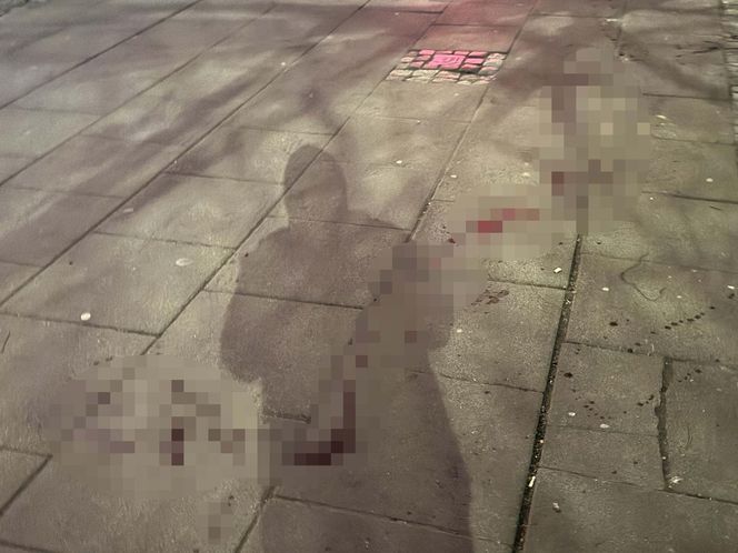 Krwawy atak nożownika w centrum Warszawy. Ofiara walczy o życie, sprawca na wolności