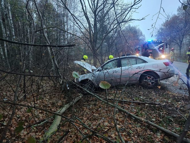 Kośminy: Auto wypadło z drogi.