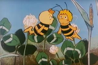 Pamiętasz „Pszczółkę Maję”? Spróbuj zdobyć komplet punktów!