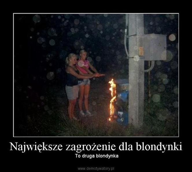 Najlepsze memy o blondynkach