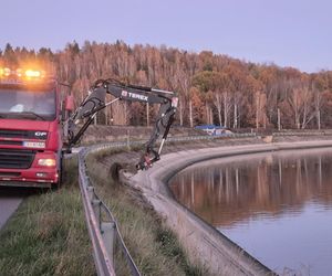 Poziom wody w zalewie brodzkim obniżony. To może mieć wpływ na ekosystem