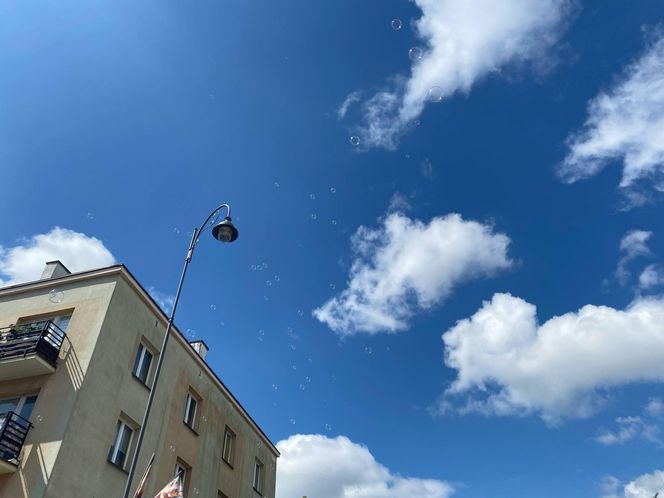 XVI Jarmark św. Stanisława w Siedlcach. Zobacz zdjęcia